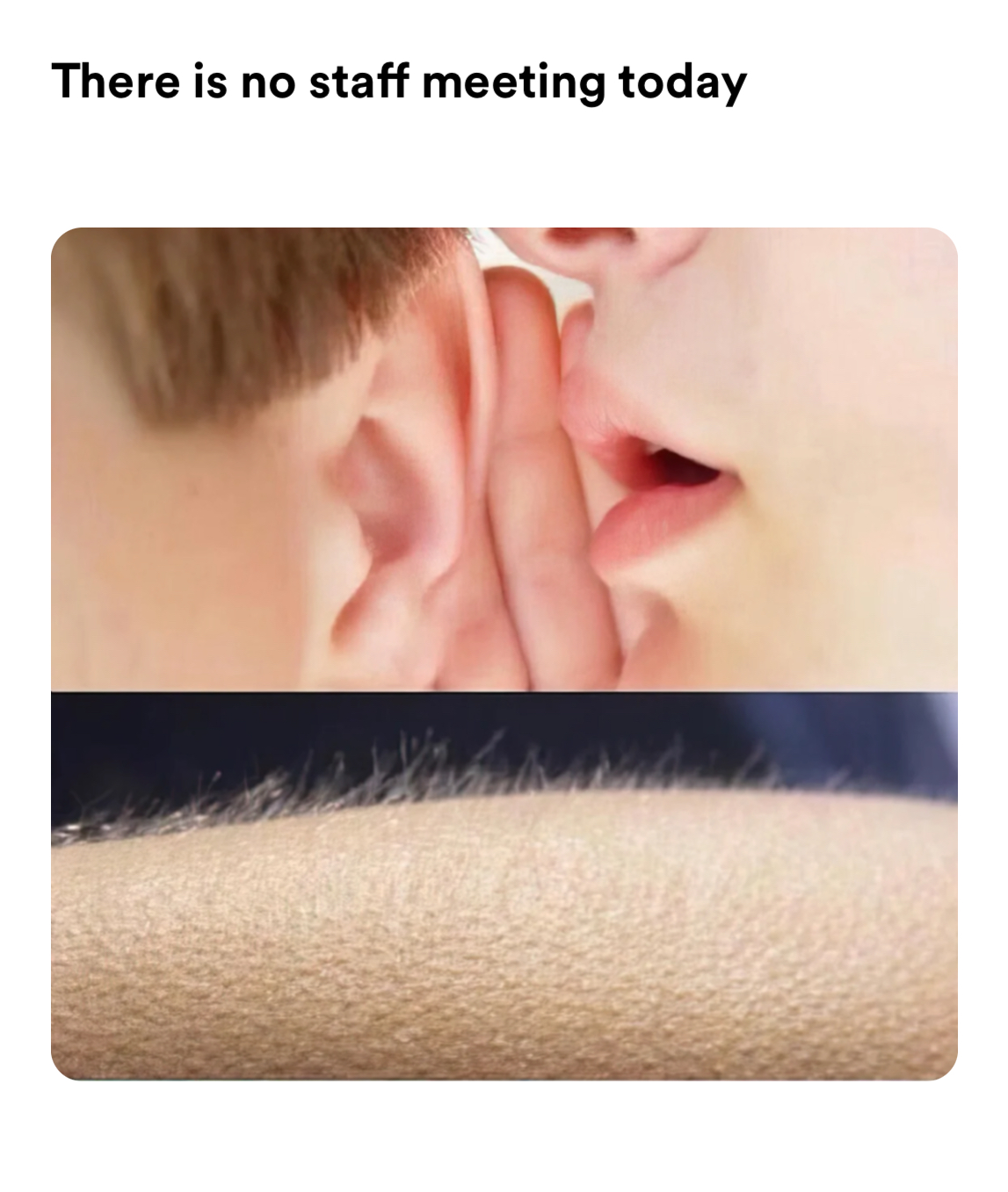 goosebumps meme | There is no staff meeting today | image tagged in memes | made with Piñata Farms meme generator