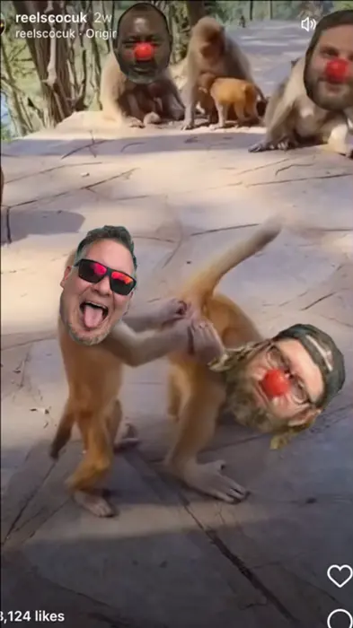 Piñata thumbnail image