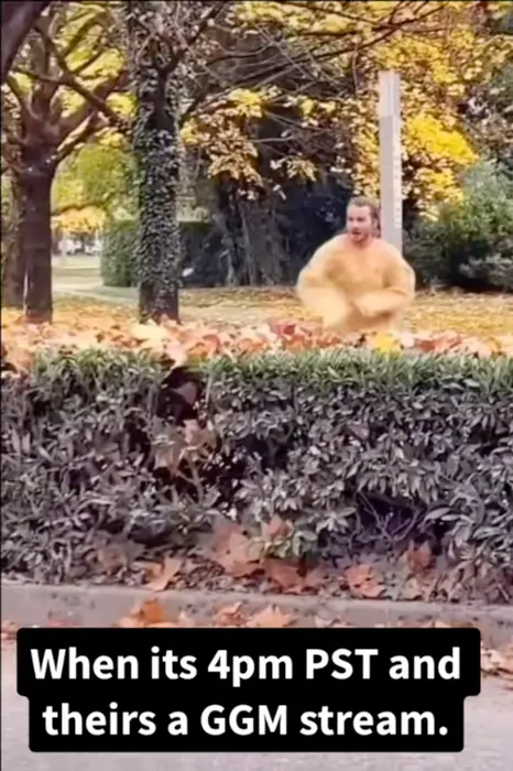 Man runs and fall down in leaves meme | image tagged in memes | made with Piñata Farms meme generator