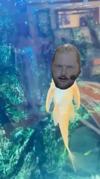 fish sings an opera meme | image tagged in memes | made with Piñata Farms meme generator