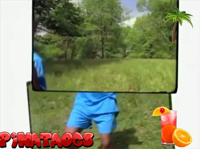 Piñata thumbnail image