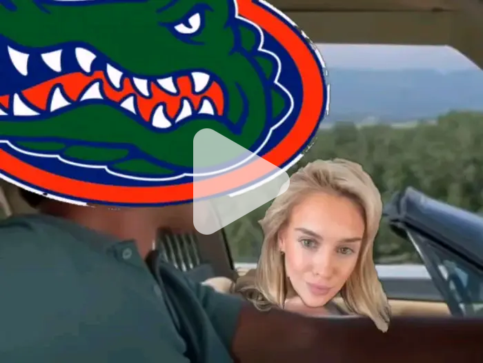 gator trades video meme - Piñata Farms - The best meme generator and ...
