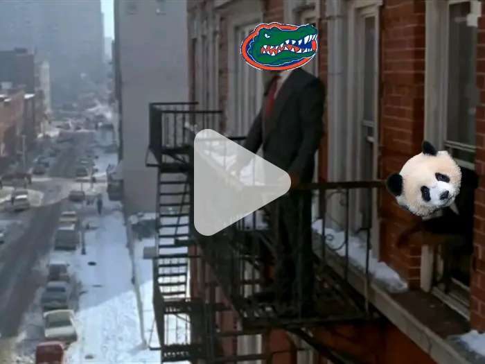 gator trades video meme - Piñata Farms - The best meme generator and ...