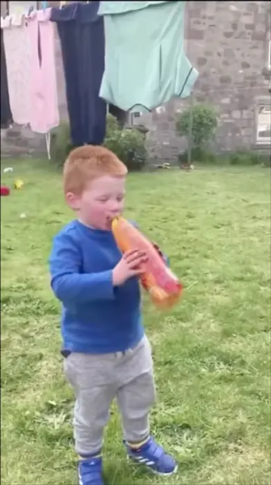 Piñata thumbnail image