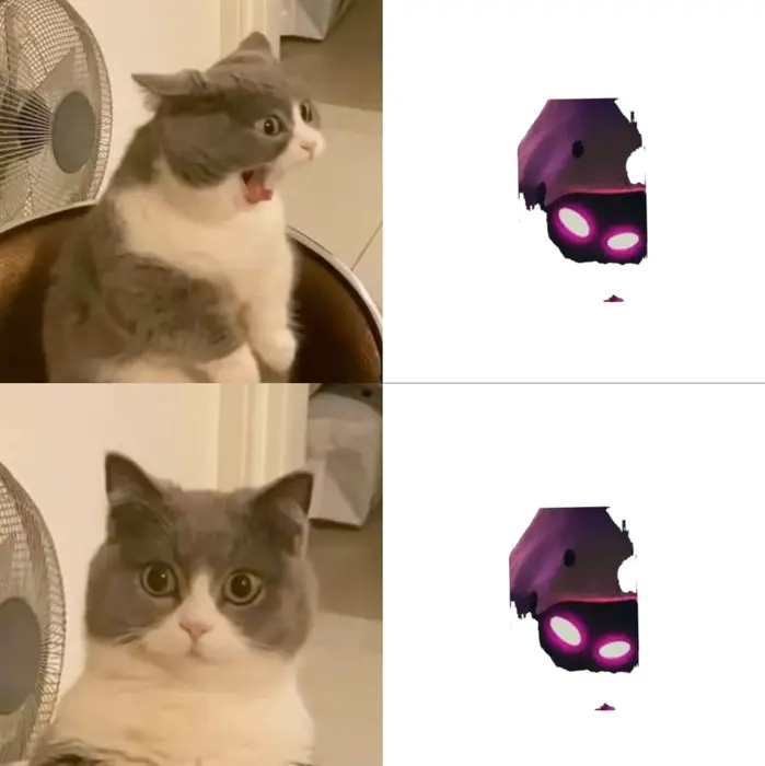 shocked Cat meme | image tagged in memes | made with Piñata Farms meme generator