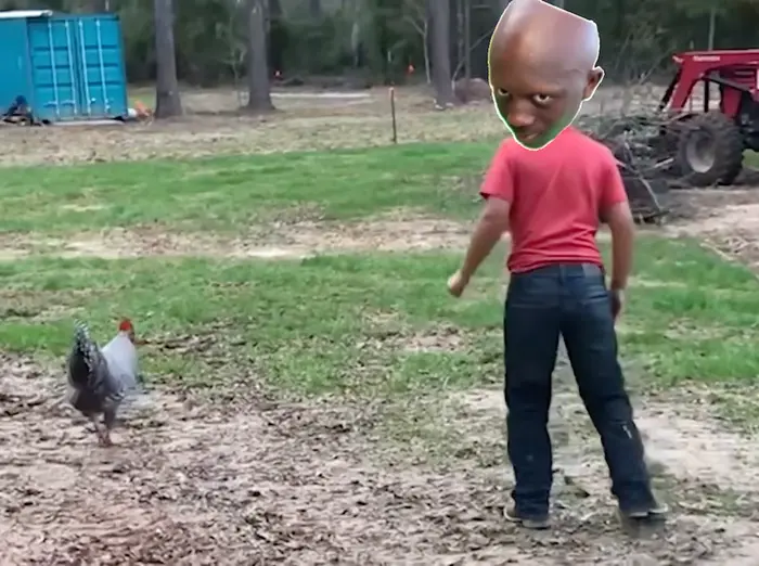 Kid gets ran down by a chicken meme | image tagged in memes | made with Piñata Farms meme generator