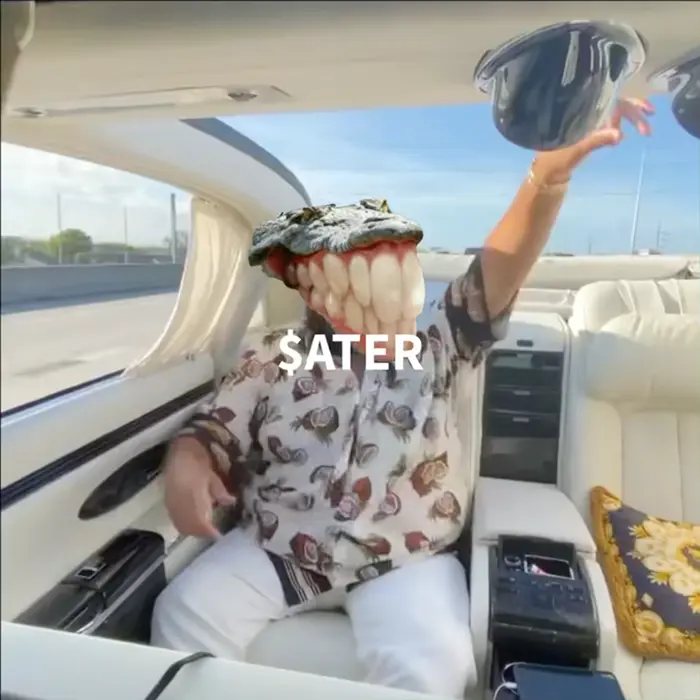 Piñata thumbnail image