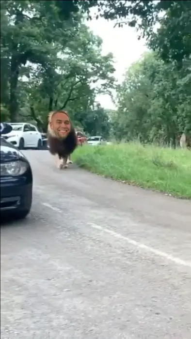 Piñata thumbnail image