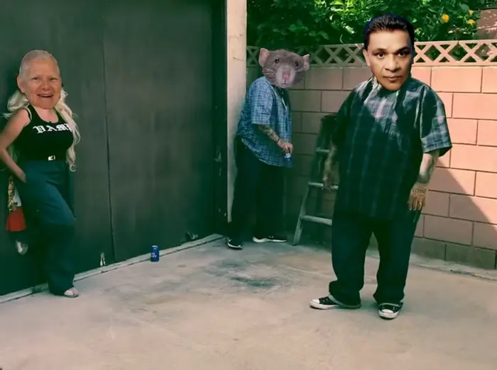 Piñata thumbnail image