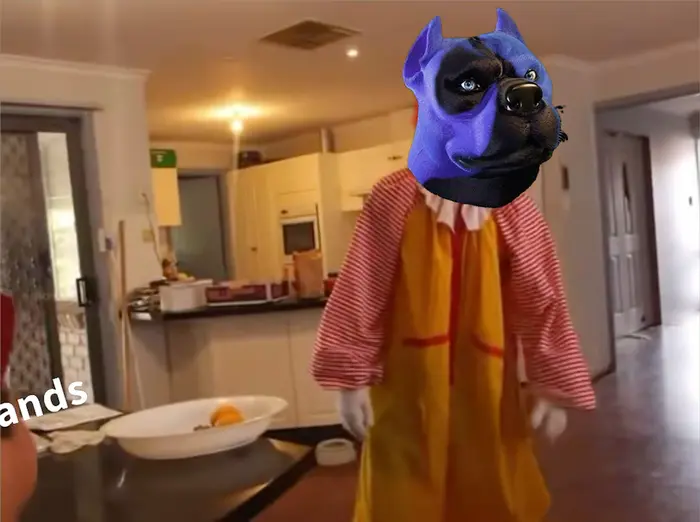 Piñata thumbnail image