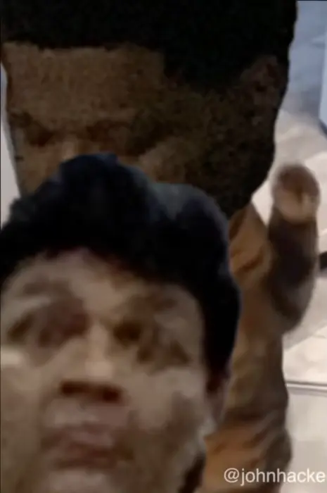 Will Smith vs. Chris Rock cat slap meme #Oscars (johnhackerla meme) meme | image tagged in memes | made with Piñata Farms meme generator