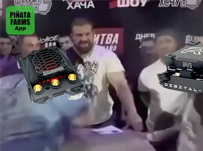 Piñata thumbnail image