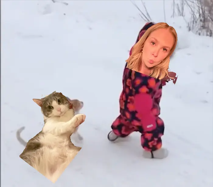 Cat RKO meme | image tagged in memes | made with Piñata Farms meme generator