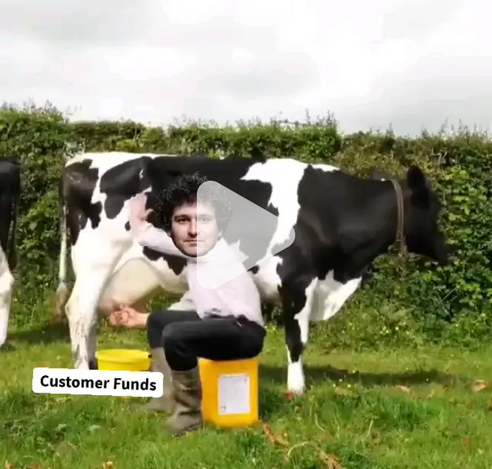 Rare video of SBF milking FTX BIGGEST scam in history video meme