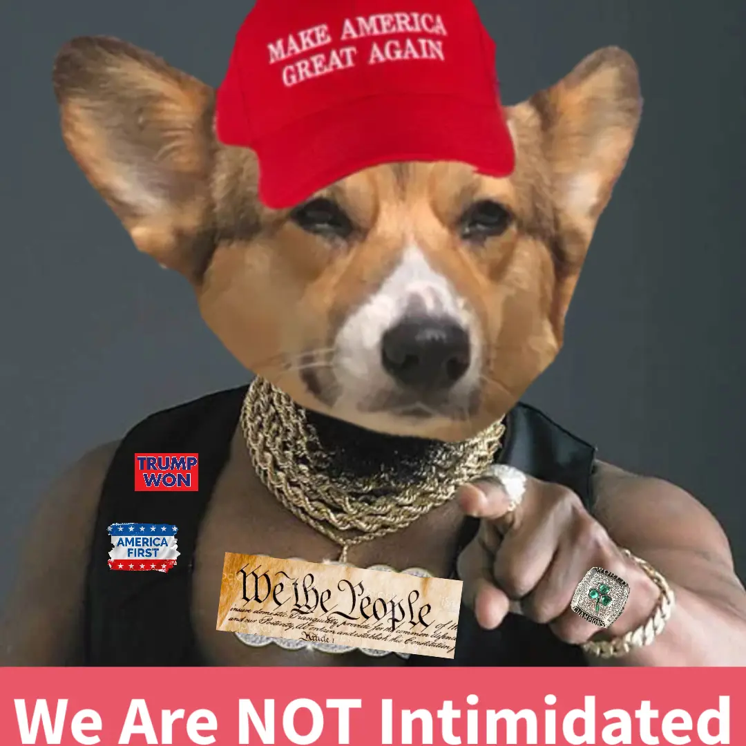 Meme image, titled: 'We Will Win. Deep State Will Lose. #TheyKnowThatWeKnow 🇺🇸', by user: superelitecorgi