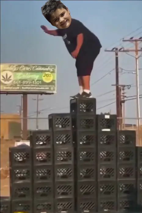 Piñata thumbnail image