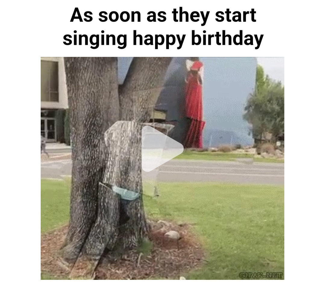 Video Meme - Piñata Farms - The best meme generator and meme maker for ...