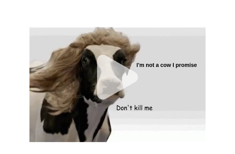 Video Meme - Piñata Farms - The best meme generator and meme maker for ...