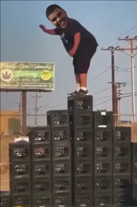 Piñata thumbnail image