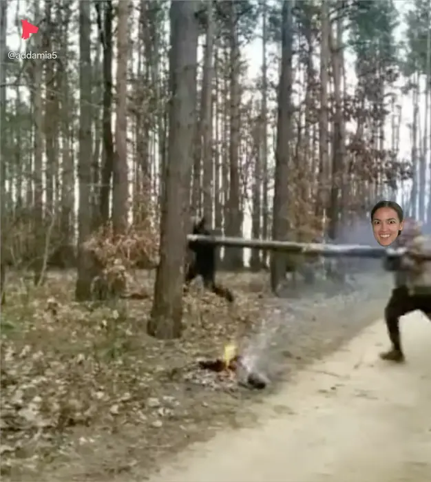 trying to break a tree meme | image tagged in memes | made with Piñata Farms meme generator