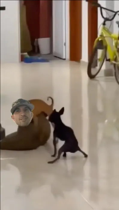 Piñata thumbnail image