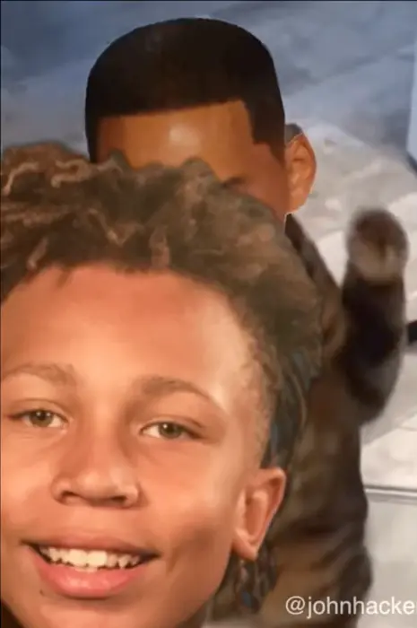 Will Smith vs. Chris Rock cat slap meme #Oscars (johnhackerla meme) meme | image tagged in memes | made with Piñata Farms meme generator