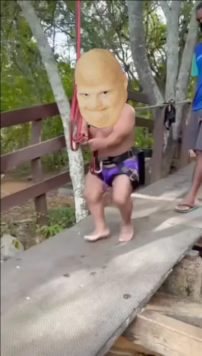 Piñata thumbnail image