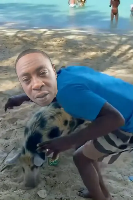 Piñata thumbnail image