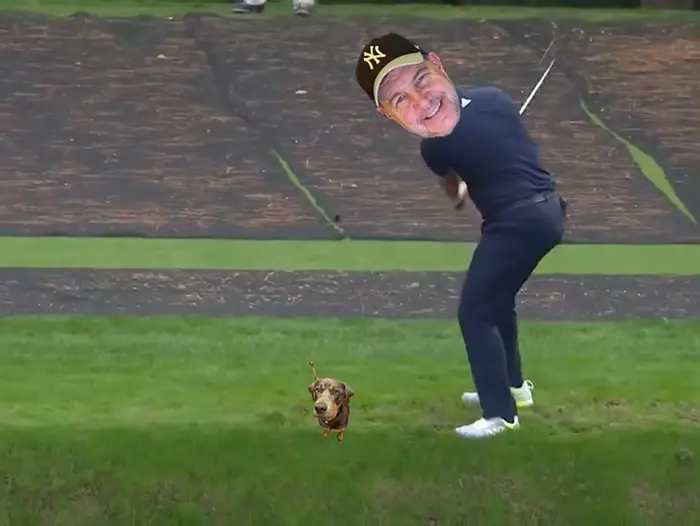 Insane one hit golf game meme | image tagged in memes | made with Piñata Farms meme generator