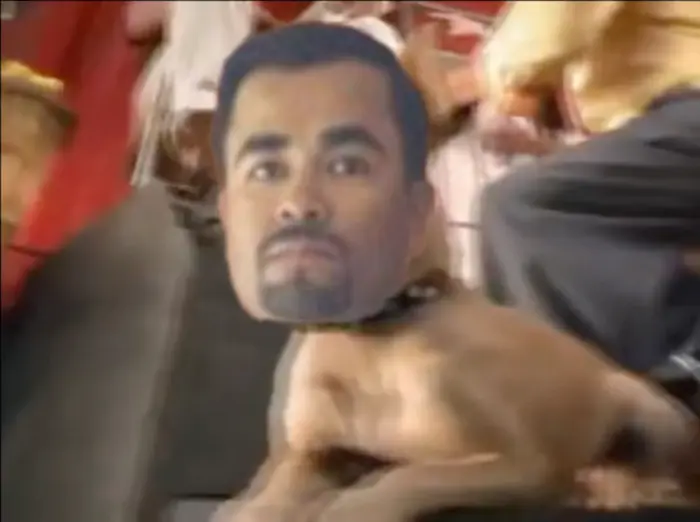 Piñata thumbnail image