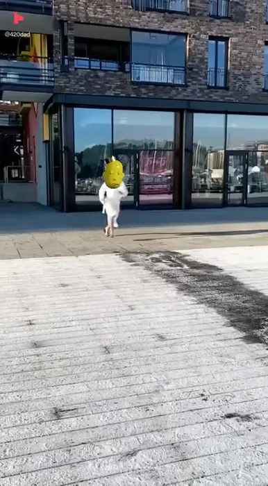 Piñata thumbnail image