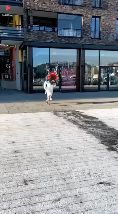 Piñata thumbnail image