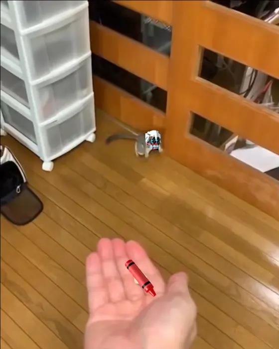 Piñata thumbnail image