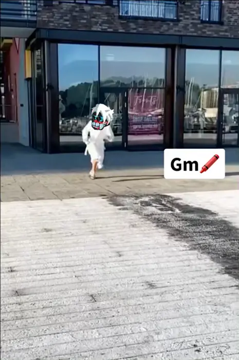 Piñata thumbnail image