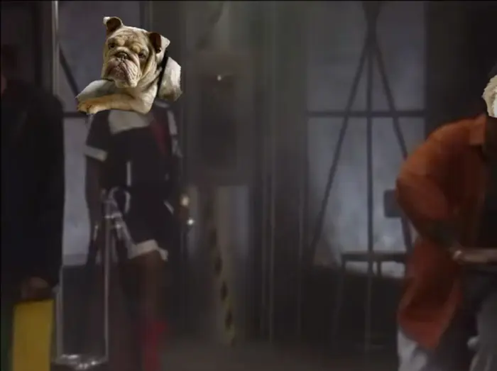 Piñata thumbnail image