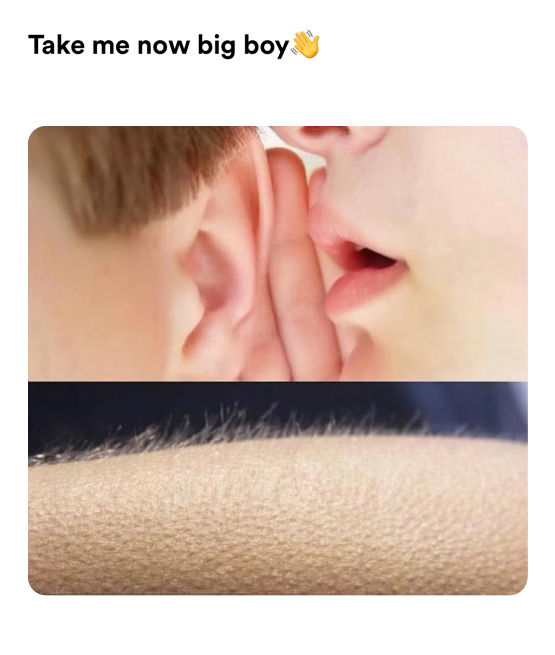 goosebumps meme | Take me now big boy👋 | image tagged in memes | made with Piñata Farms meme generator