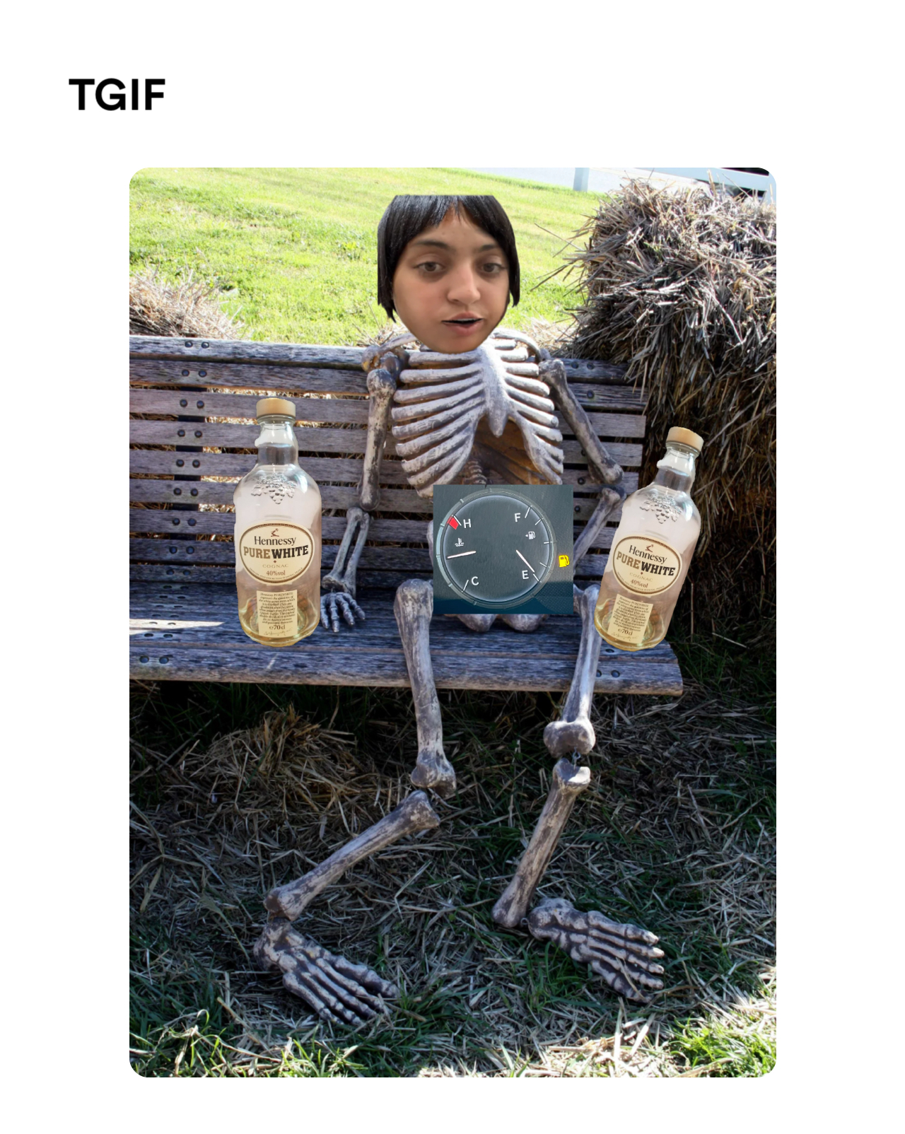 Waiting skeleton meme | TGIF | image tagged in memes | made with Piñata Farms meme generator