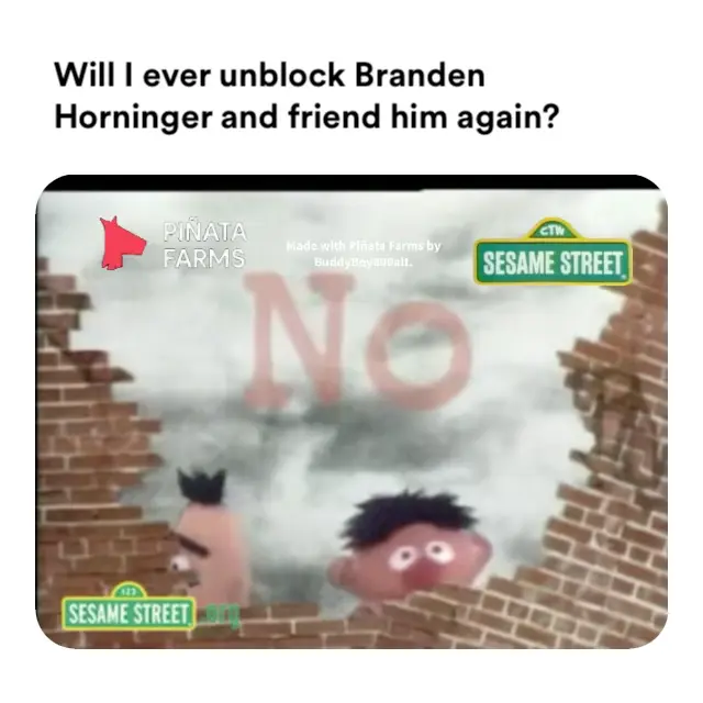 Sesame Street - And the word is NO! meme | Will I ever unblock Branden Horninger and friend him again? | image tagged in memes | made with Piñata Farms meme generator