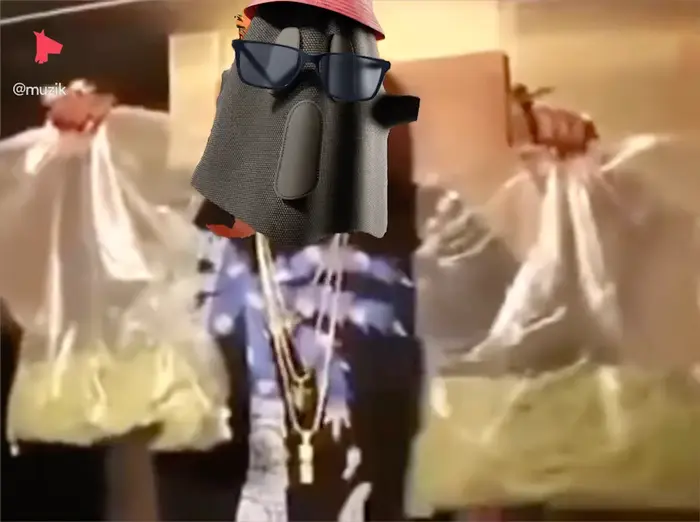 Piñata thumbnail image