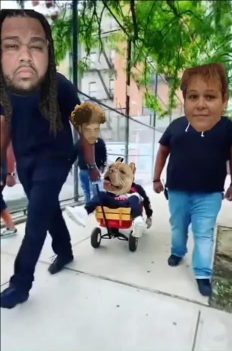 Piñata thumbnail image