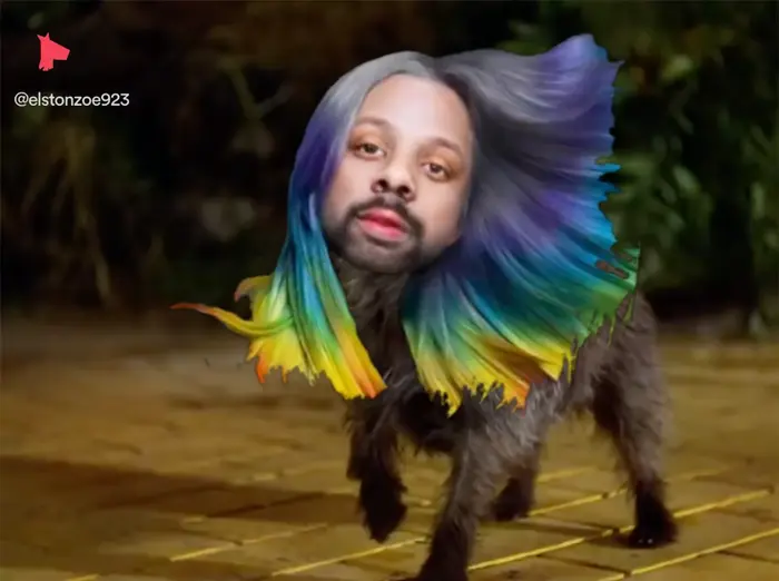 Piñata thumbnail image