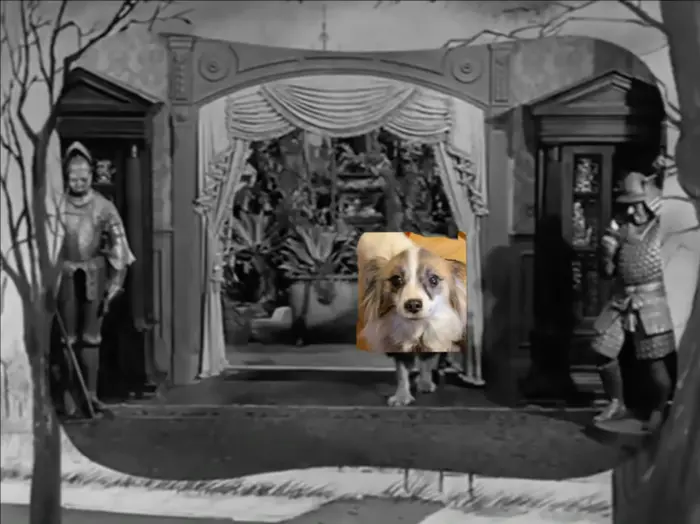 Piñata thumbnail image