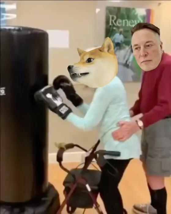 old lady boxing meme | image tagged in memes | made with Piñata Farms meme generator