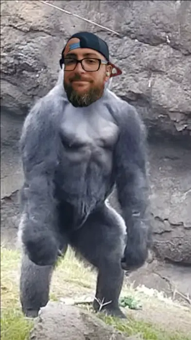 big gorilla meme | image tagged in memes | made with Piñata Farms meme generator