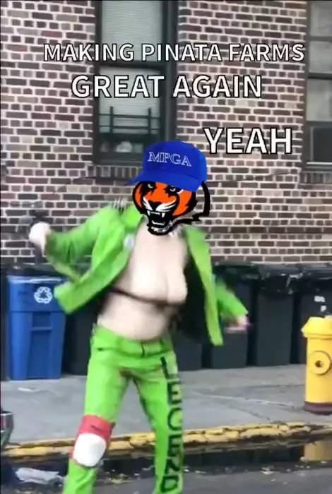 Piñata thumbnail image