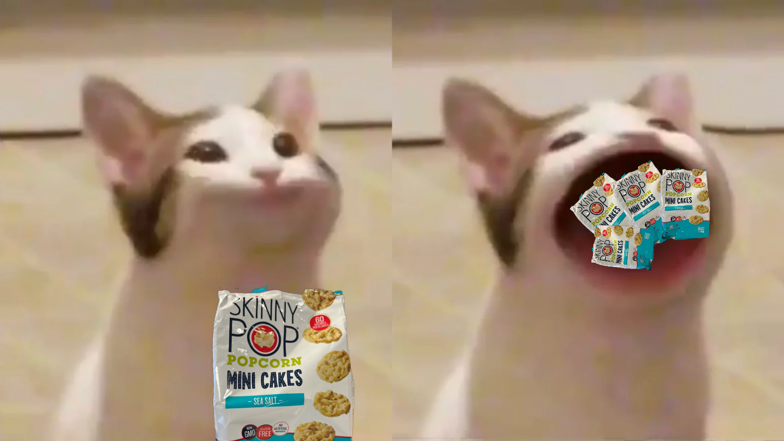 Pop cat meme | image tagged in memes | made with Piñata Farms meme generator