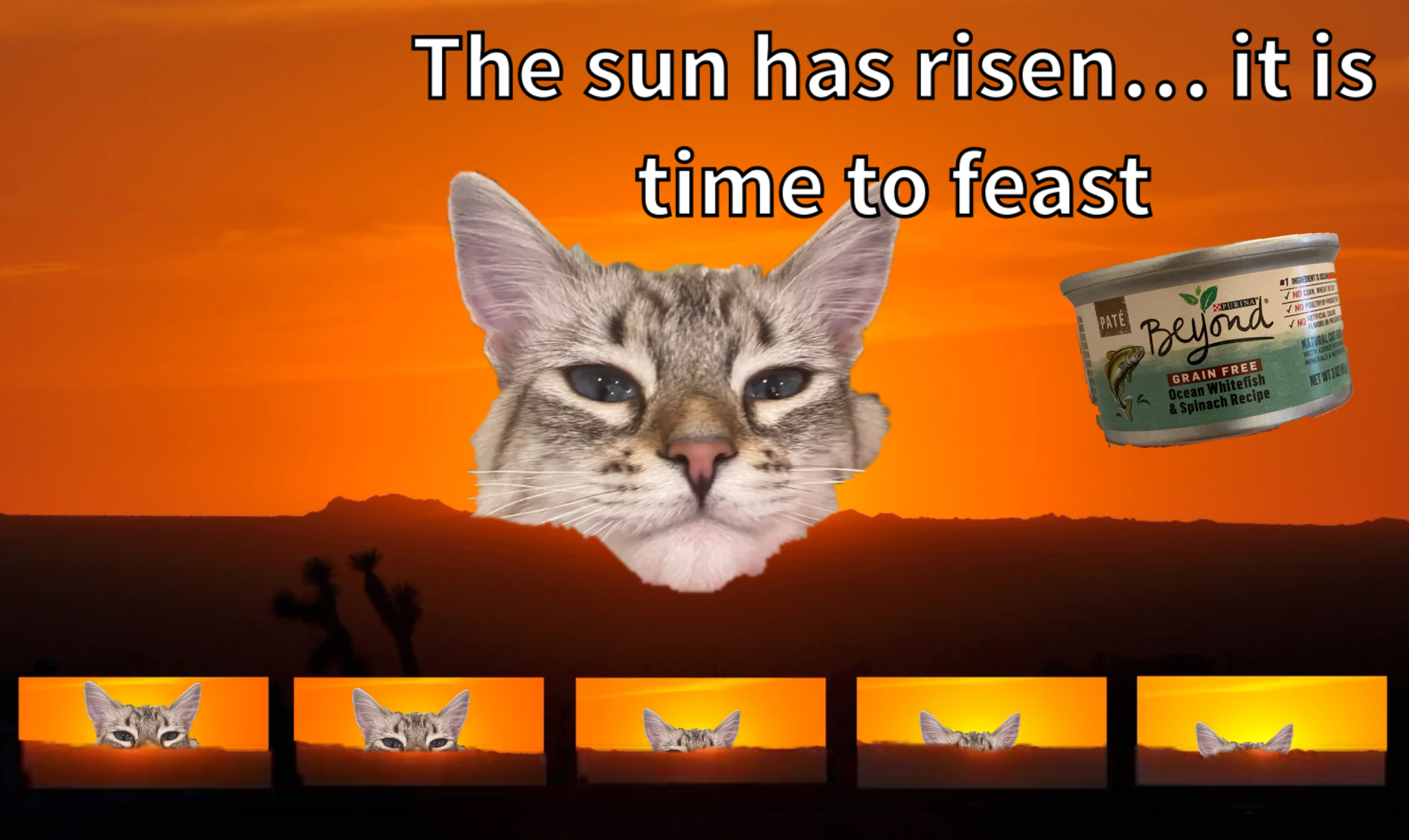Sunset meme | image tagged in memes | made with Piñata Farms meme generator