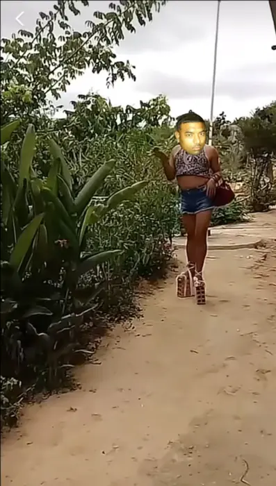 Piñata thumbnail image