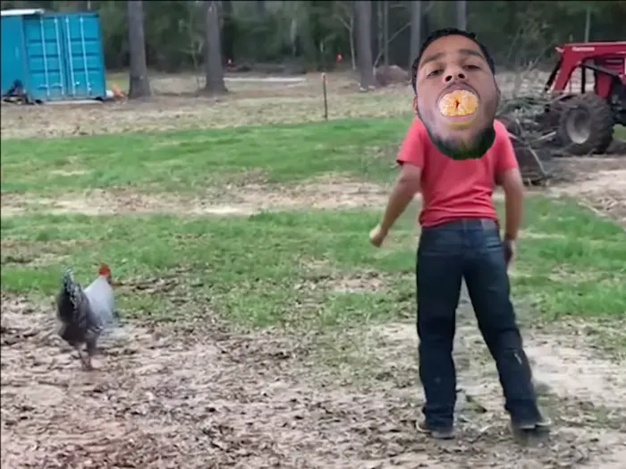 Kid gets ran down by a chicken meme | image tagged in memes | made with Piñata Farms meme generator