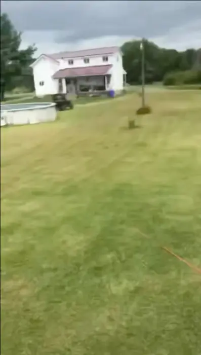 Just a few flips meme | image tagged in memes | made with Piñata Farms meme generator